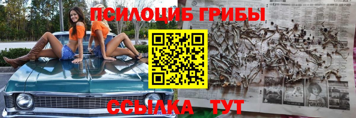Псилоцибиновые грибы Magic Shrooms Ковров