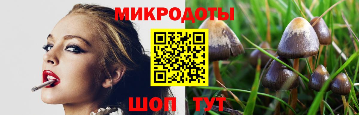 Псилоцибиновые грибы Cubensis  Галлюциногенные грибы MAGIC MUSHROOMS  Ковров  Вход с VPN 
